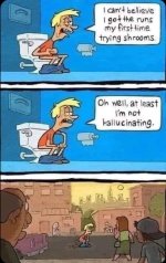 mushrooms.jpg