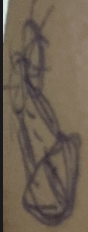 1791423534287.png