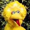 BigBird