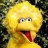 BigBird